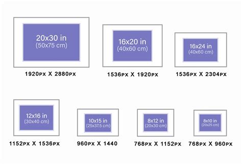 standard photo sizes.